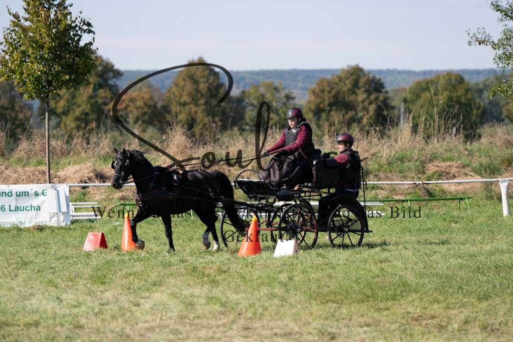A7V04337 | Pferdefotograf