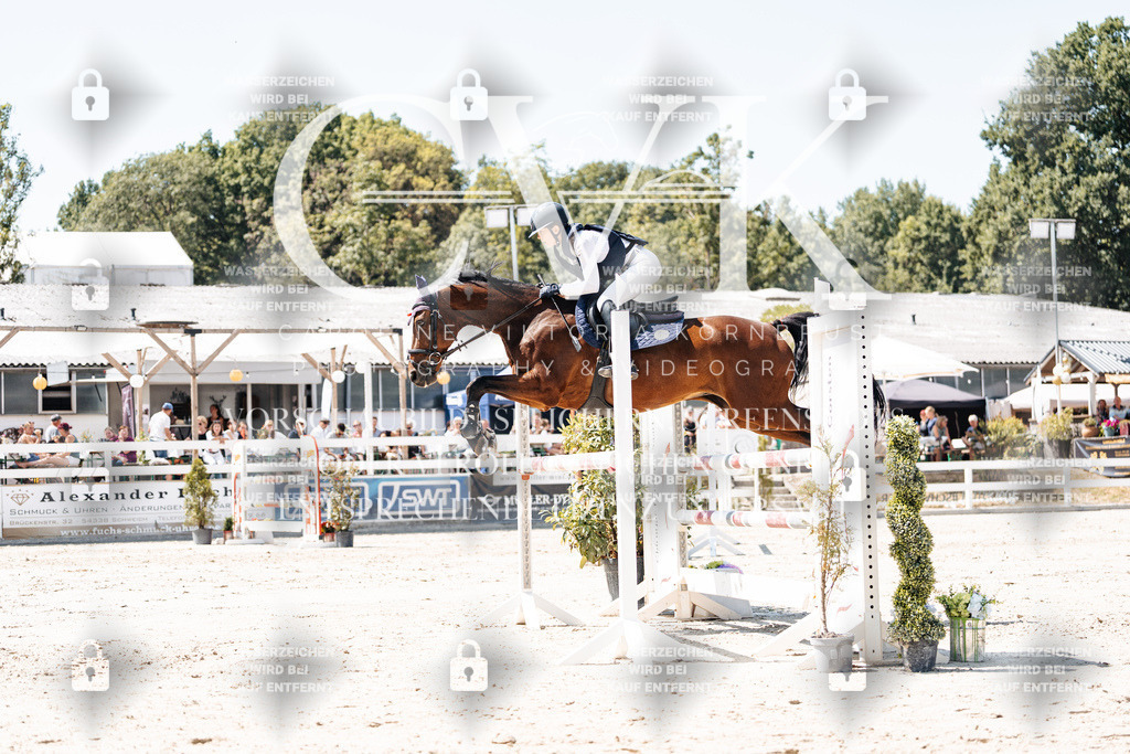 CK909912 | Turnierfotografie Pferdefotografie Trier Rheinland-Pfalz Pferdesport Reitsport Tierfotografie Sportfotografie Pferdevideo Pferdevideografie Equestrianvideography equestrianphotography  - Realisiert mit Pictrs.com