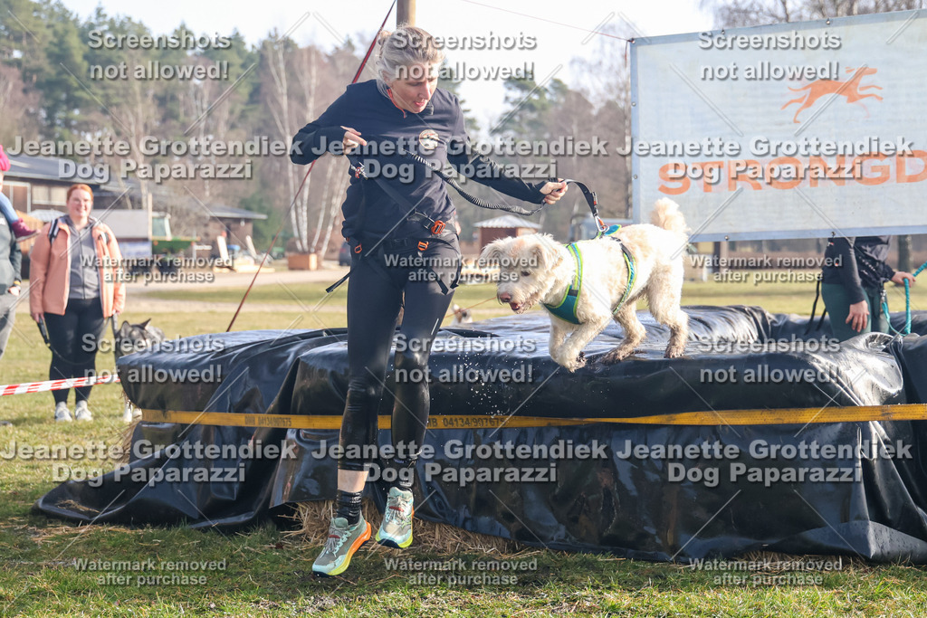 Dog Paparazzi - Strongdog North Mrz26-257 | Dog Paparazzi Jeanette Grottendiek Fotografie & Videografie - Realisiert mit Pictrs.com