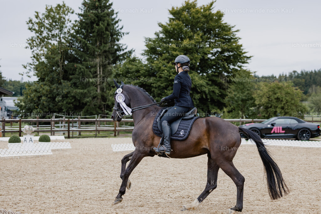 Leonie24_FHC2025-19 | working equitationturnier fotograf videograf stoibphotography marixx film working equitation deutschland reitsport turnierfotografie eventfotografie equestrian events