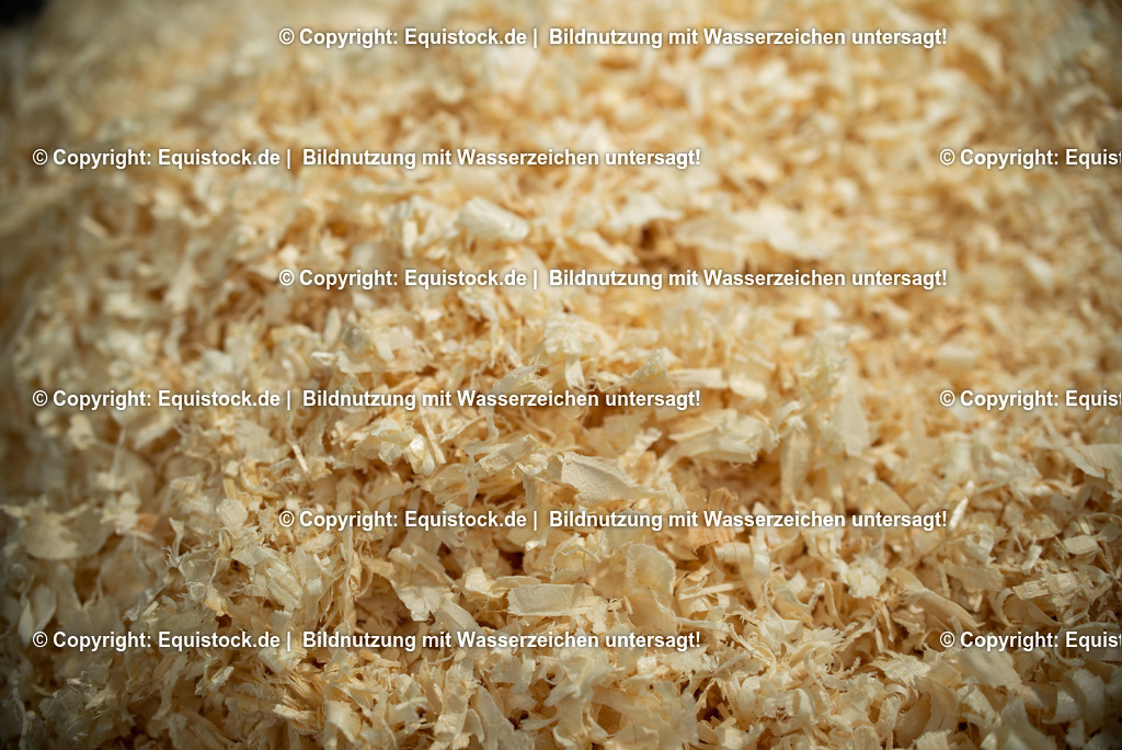 20190409_Excuisit_0003 | Foto: Thomas Hartig