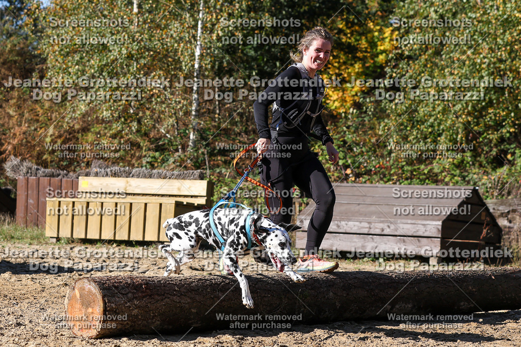 Dog Paparazzi - Strongdog 10-25-2770 | Dog Paparazzi Jeanette Grottendiek Fotografie & Videografie - Realisiert mit Pictrs.com