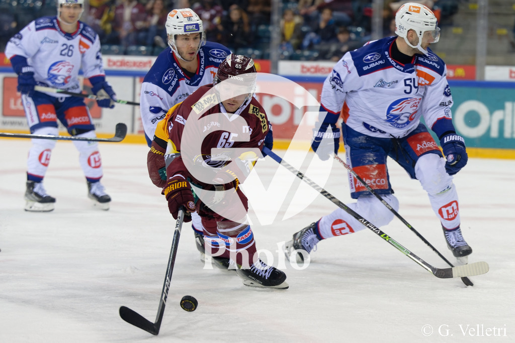 DSC_5333 | Velletri Photo