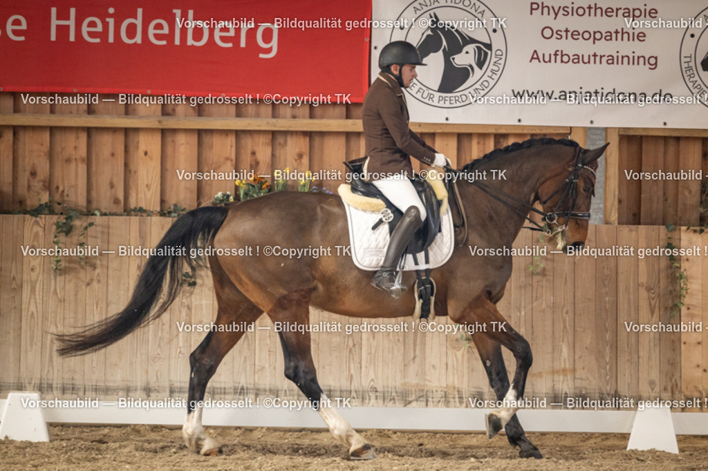 _D5A9375 | Emotionale Pferde- & People-Fotografie rund um Heidelberg, Leimen & Umgebung. Natürliche Fotos von Pferd, Mensch & Familie. Jetzt Termin sichern!