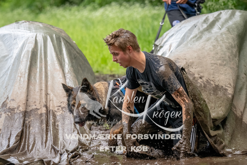 1544_ZZ90048-Bearbeitet | kk-dogfotos