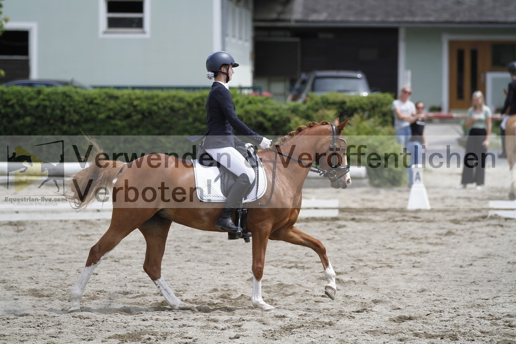 _MG_8818 | equestrian-live-com