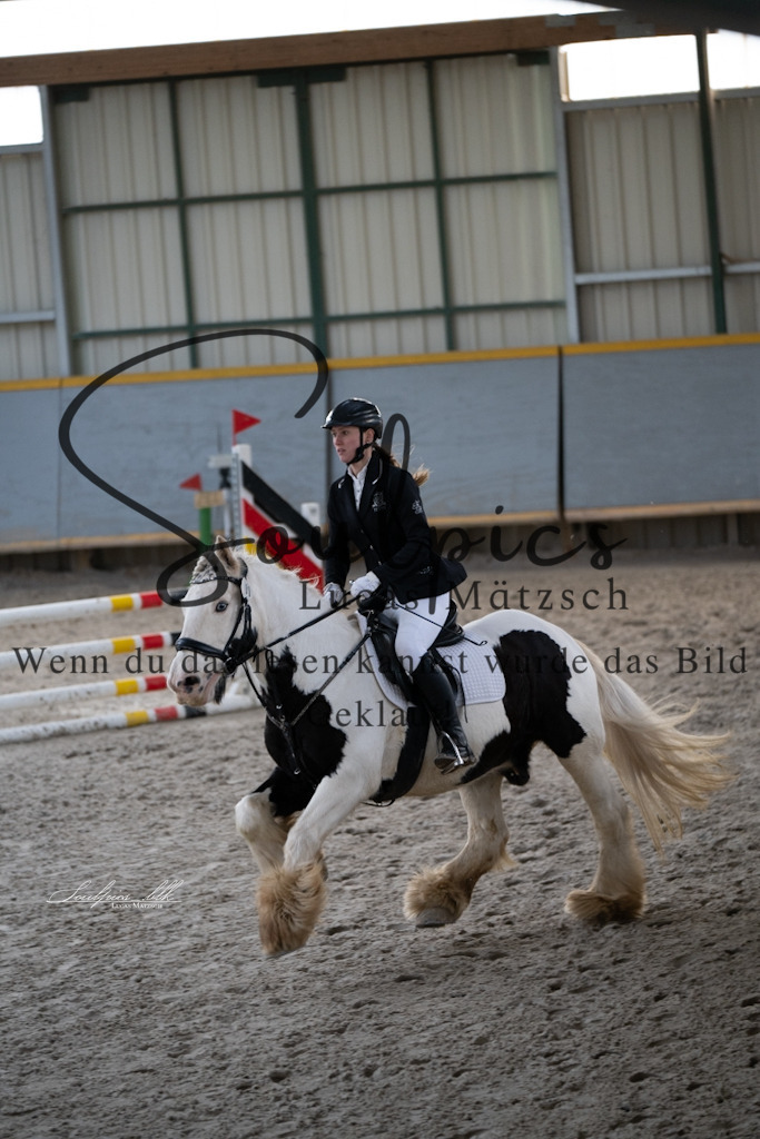 A7V01165 | Pferdefotograf