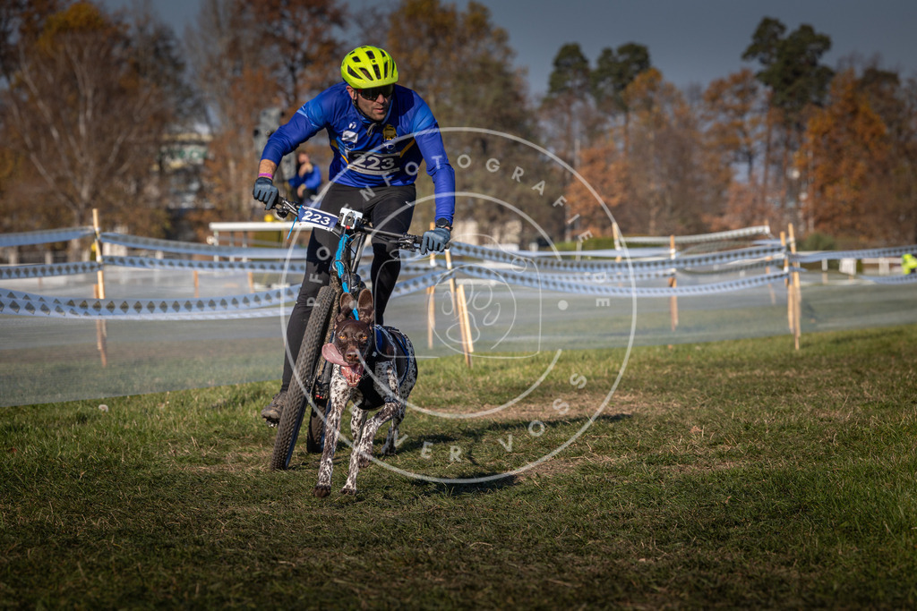 CaniXpix_0L8A6297 | Hundefotografie, Tierfotograf, Pfotenfotografie, Fotoshooting Hund, Hunde Portrait, Hundesport, Hundeportraits, Heideshooting, Hunde, Sportfotograf, Hundefotograf, Turnierhundsport, THS,  - Realisiert mit Pictrs.com