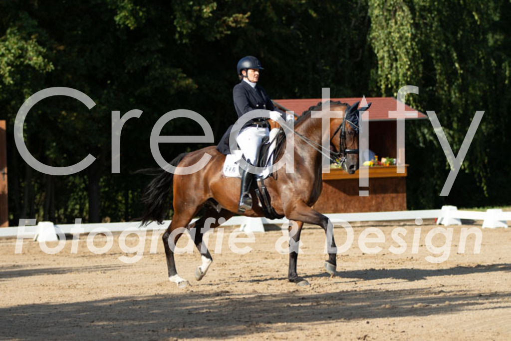 IMG_5642 | Creatify Fotografie