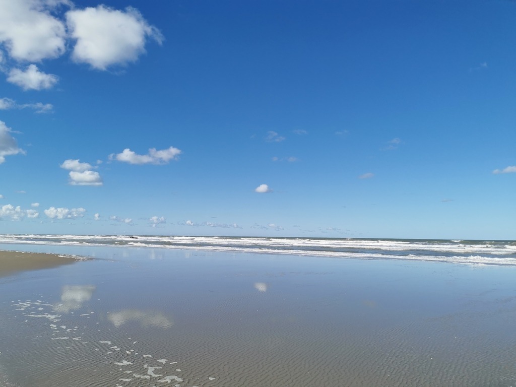 IMG_20240928_130149 | Pandiboo - Realisiert mit Pictrs.com