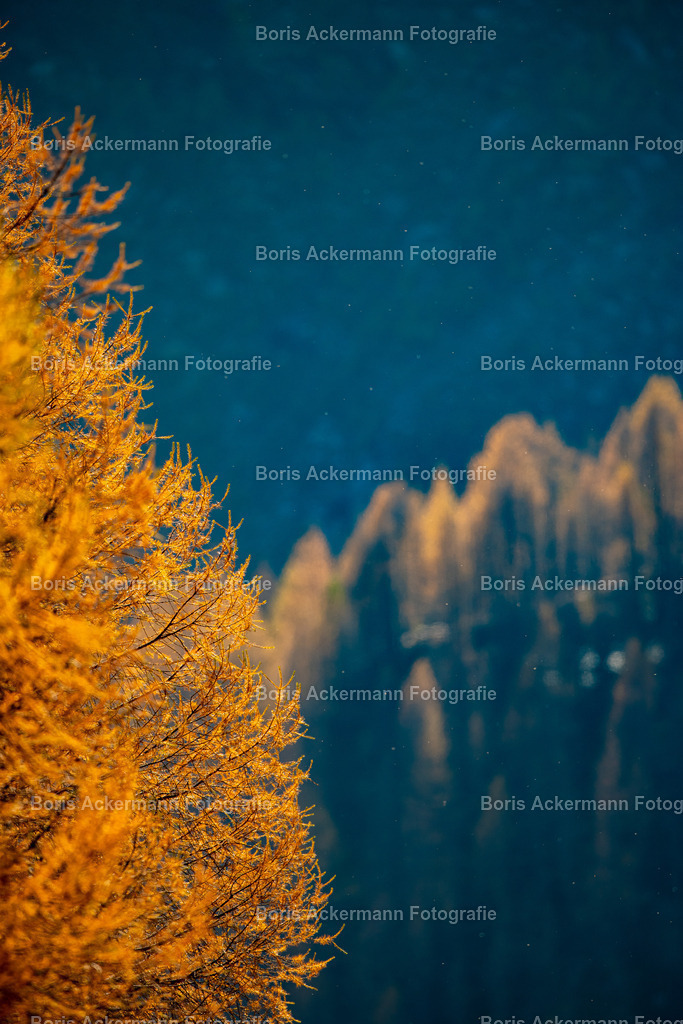 Goldener Herbst | No Words needed