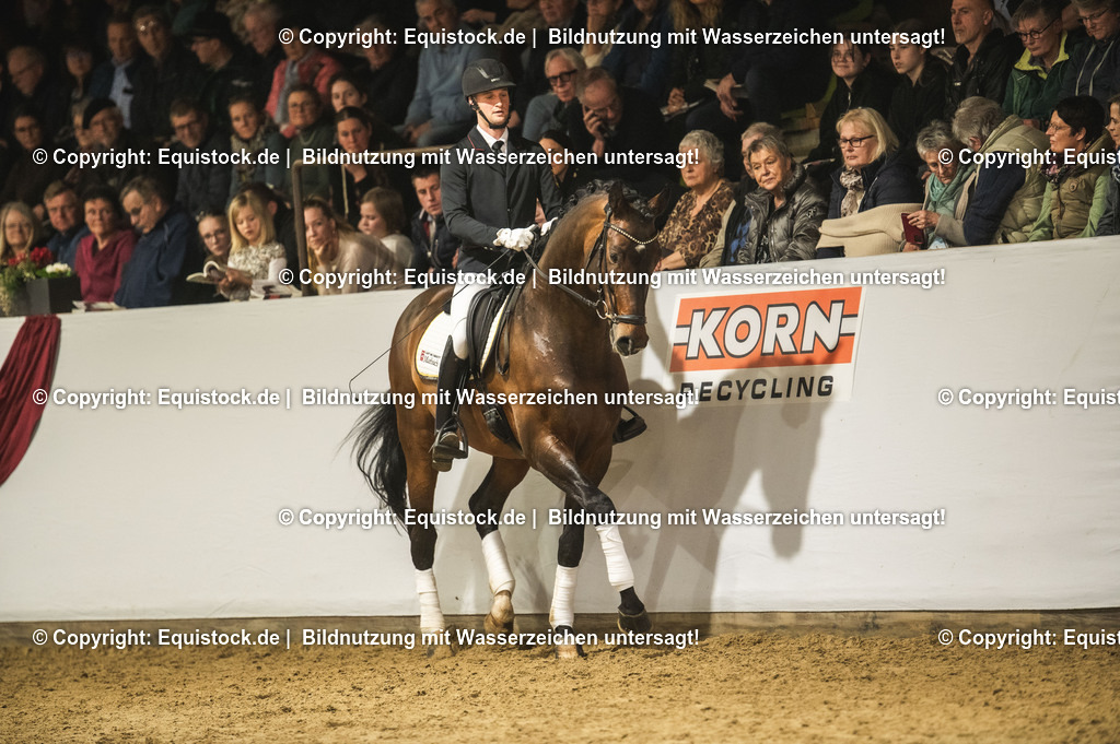 20240302_Hengstvorstellung_Marbach_TOMsPiC_1235 | equistock