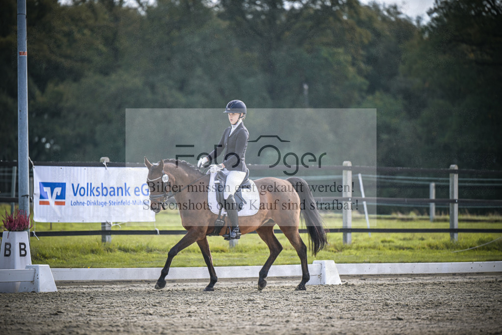 DOS_B131 | Entdecke hochwertige Reitturnierfotos von Foto Oger. Professionell, emotional und authentisch – jetzt Lieblingsmomente im Shop bestellen.Deutschlandweite Turnierfotografie. - Realisiert mit Pictrs.com