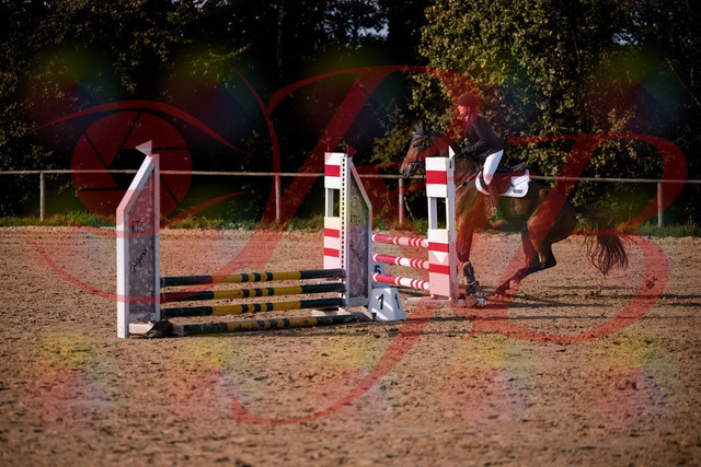 2026_10_03_Siefer-Hof_161048_Z81_90433109 | Professionelle Reitsport-, Turnier- und Eventfotografie von Robert Broda. Galerien mit ausgewählten und bearbeiteten Bildern direkt online ansehen und bestellen.