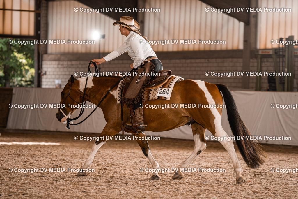 ZH300494 | dv-media-shop - Realisiert mit Pictrs.com