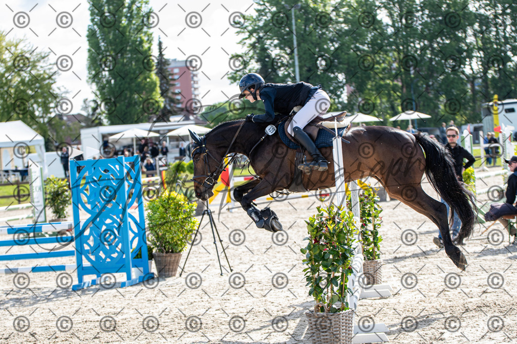 KPT_4621 | andre_photographic