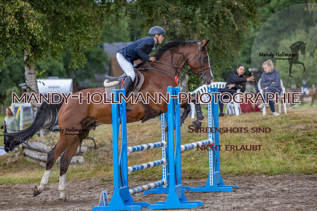 17.8 SPR A++ (160 von 597) | mandyhollmannphotographie