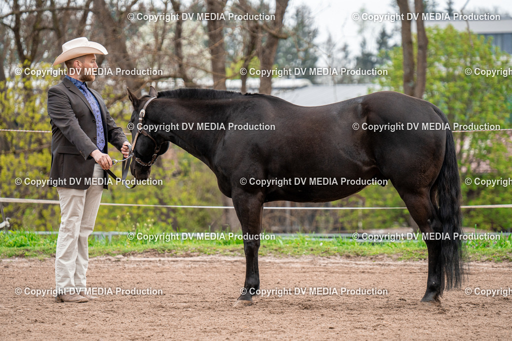 BA300143 | dv-media-shop - Realisiert mit Pictrs.com