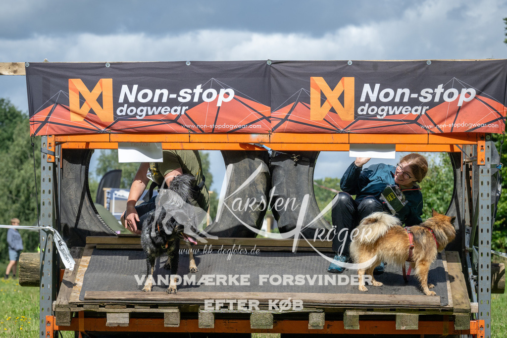 1318_ZZ94921 | kk-dogfotos