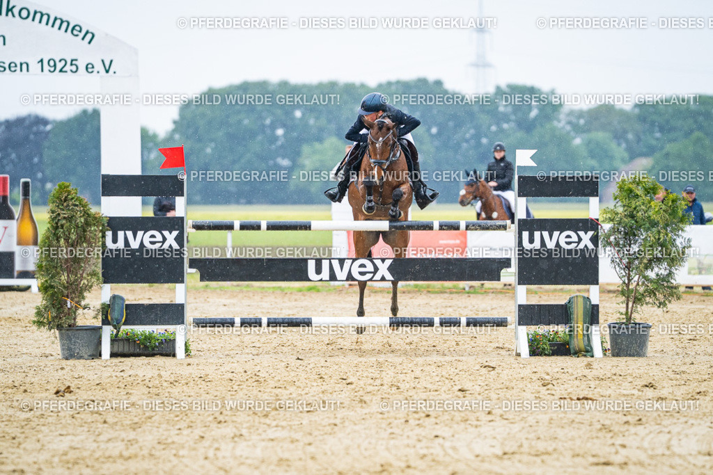 DSC09675 | Pferdegrafie