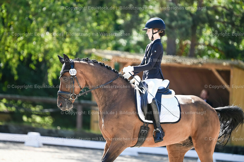 20230908_06_Dressur-L-Trense_0320 | equistock