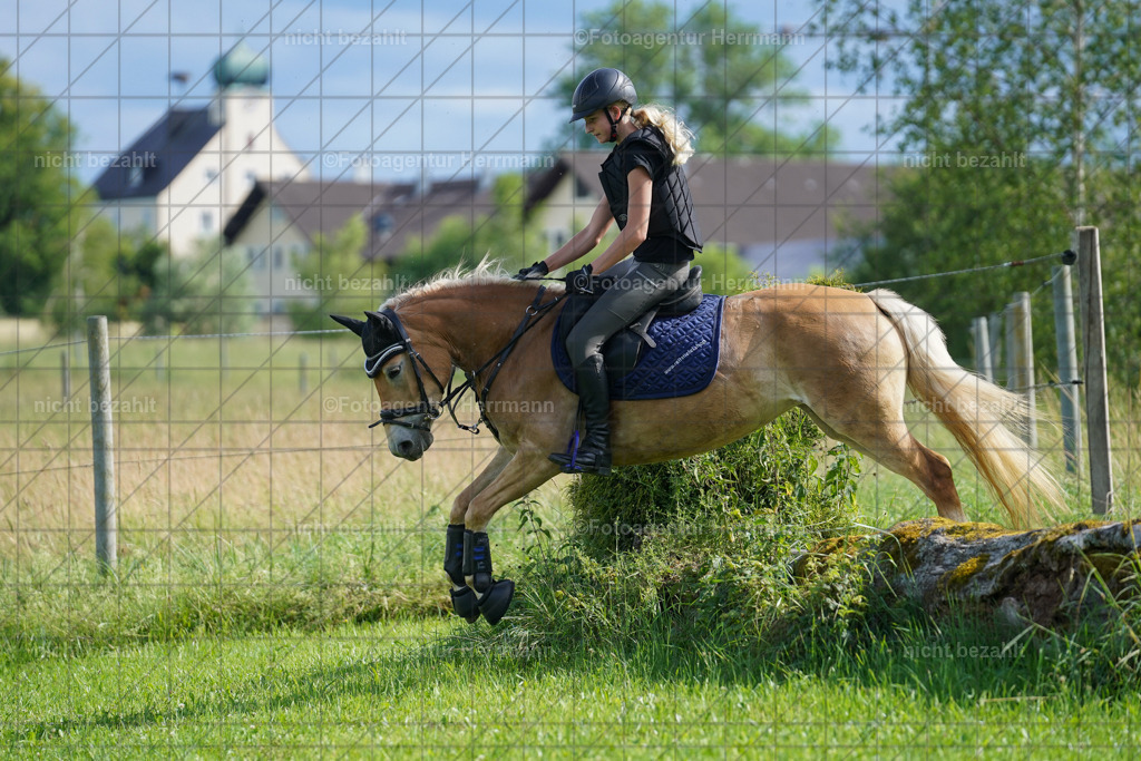 20240622-FAH08094 | Turnierfotografen Bayern, Reitsportbilder aus dem Geländekurs mit Felix Etzel auf dem Gut Waitzacker 2024