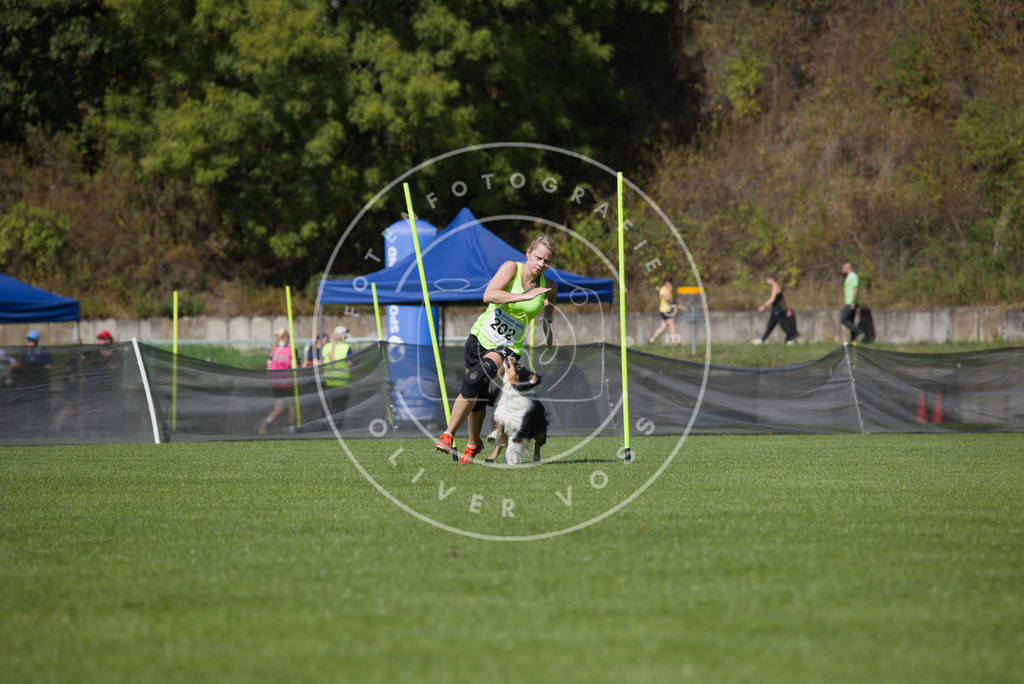 0L8A5798 | Hundefotografie, Tierfotograf, Pfotenfotografie, Fotoshooting Hund, Hunde Portrait, Hundesport, Hundeportraits, Heideshooting, Hunde, Sportfotograf, Hundefotograf, Turnierhundsport, THS,  - Realisiert mit Pictrs.com