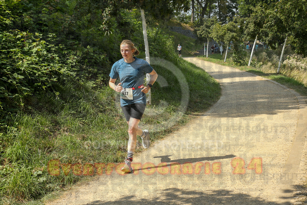 250824_1447_EX1_7538 | Sportfotografie im Rhein-Sieg Kreis, Köln, Bonn, NRW, Rheinland Pfalz, Hessen, etc. Unser Tätigkeitsfeld umfasst den Laufsport vom Volkslauf über den Marathon, Duathlon, Triathon bis zum Ultralauf wie Kölnpfad Ultra oder Schindertrail.