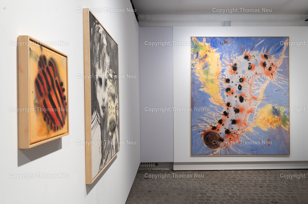 DSC_6113 | Bensheim, Museum der Stadt, Ausstellung „The last Party of Diversity“ im Museum Bensheim zeigt Werke des Künstlers Andrej Dúbravský, Bild: Thomas Neu