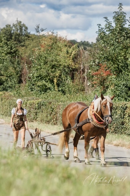 7V6A1683 | natalia-nirschl-photography