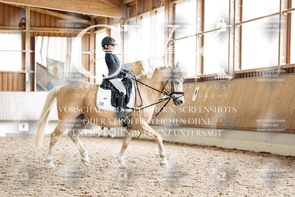 CK900508 | Turnierfotografie Pferdefotografie Trier Rheinland-Pfalz Pferdesport Reitsport Tierfotografie Sportfotografie Pferdevideo Pferdevideografie Equestrianvideography equestrianphotography  - Realisiert mit Pictrs.com