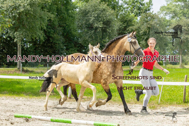 Leybucht-195 | mandyhollmannphotographie