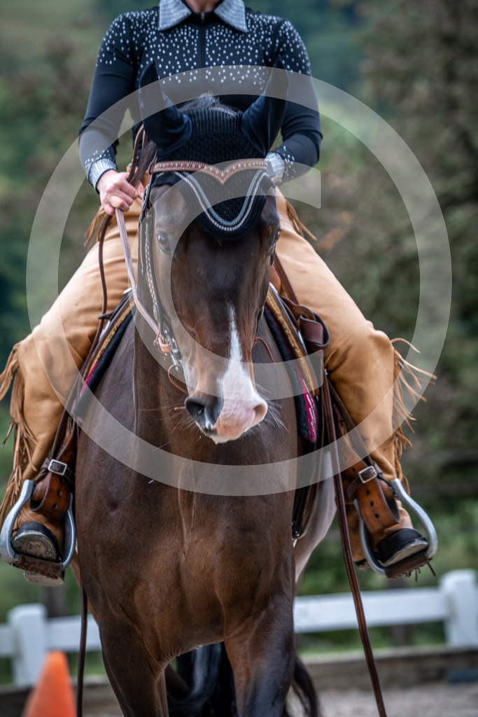 HEB08260 | BS-foto