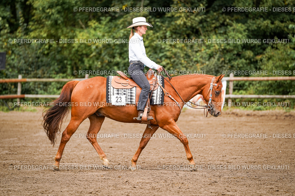 DSC06648 | Pferdegrafie