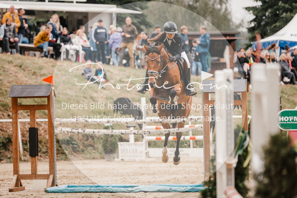 3I6A2218 | Stimmungsvolle Portraits und Reitsportfotografie im Ruhrgebiet und im Münsterland.

Pferdefotografie, Hundefotografie, Tierfotografie, Reportagen, Portraits von Tier und Mensch, Turnierfotografie in Bochum, Recklinghausen, Marl, Haltern am See, Dülmen.. - Realisiert mit Pictrs.com