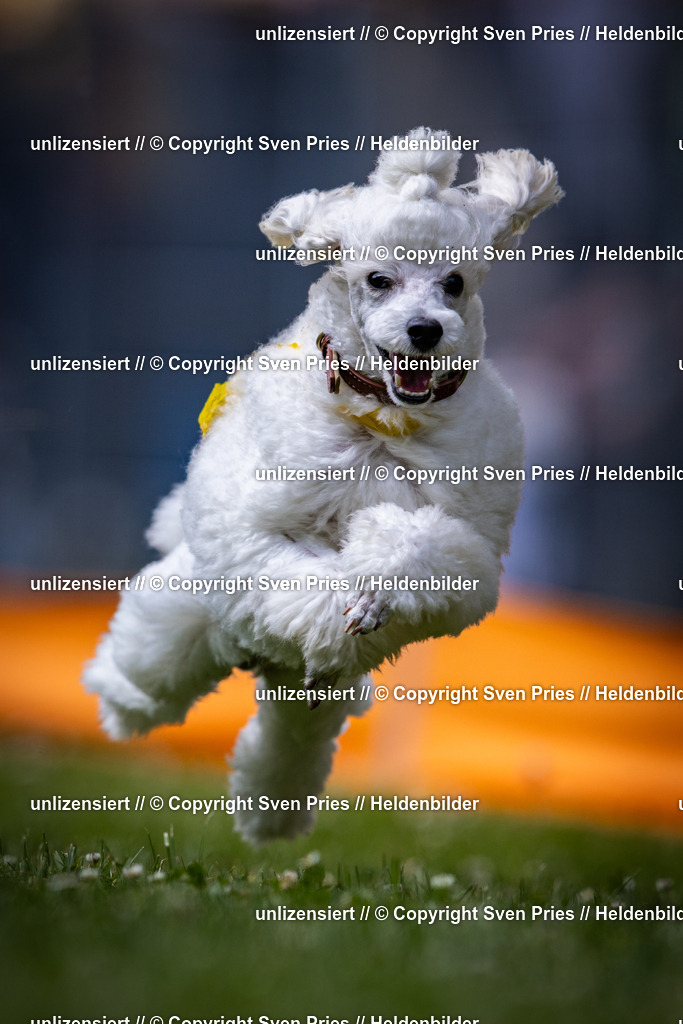 Sven Pries | 2025-05-29 - Pudelrennen KA-Durlach - Realisiert mit Pictrs.com