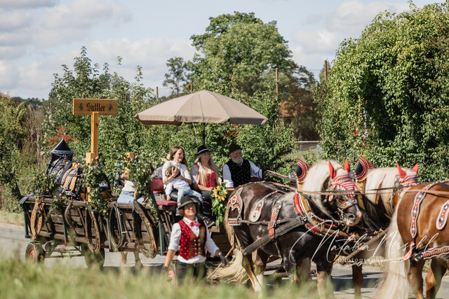 7V6A2749 | natalia-nirschl-photography