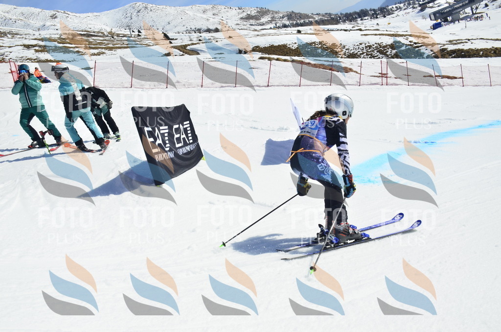 _ELE0816 | holidayphoto