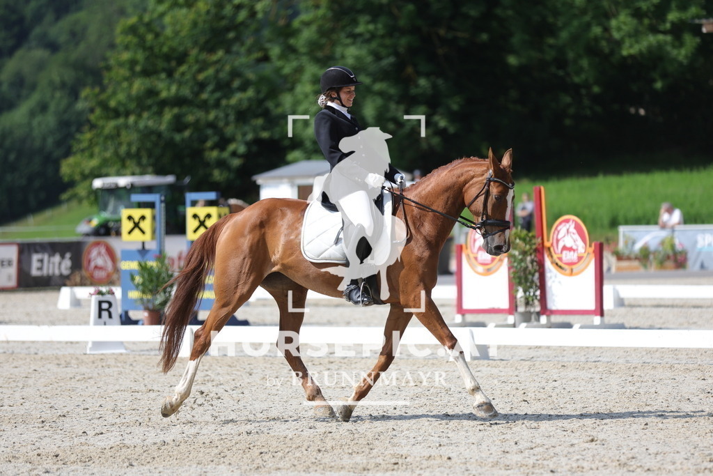 0P6A8990 | Willkommen bei Brunnmayr - Design & Fotografie – Ihrem Spezialisten für Reitturniere und Pferdeveranstaltungen in Oberösterreich, Salzburg und Bayern! Seit über 17 Jahren sind wir leidenschaftlich dabei.