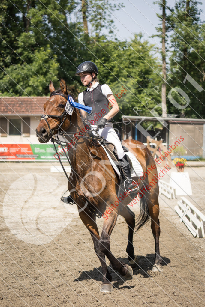 IMG_4782 | Sport-, Event- und Tierfotos in Profiqualität. Einfach auswählen, bestellen und herunterladen. Dein Moment – perfekt festgehalten.