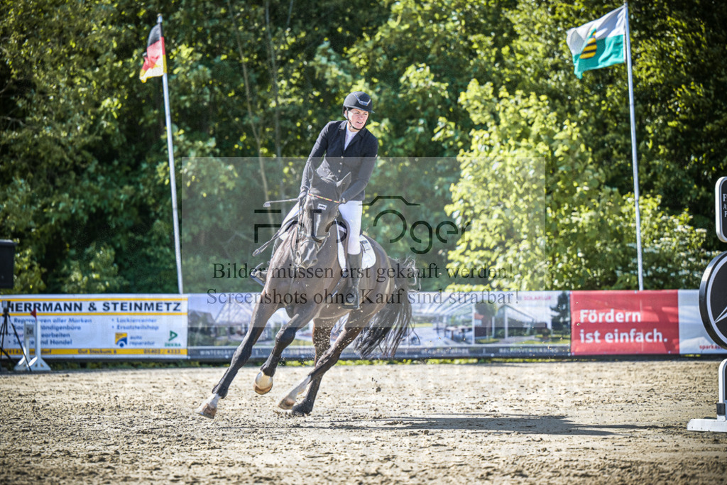 DOS_8811 | Entdecke hochwertige Reitturnierfotos von Foto Oger. Professionell, emotional und authentisch – jetzt Lieblingsmomente im Shop bestellen.Deutschlandweite Turnierfotografie. - Realisiert mit Pictrs.com