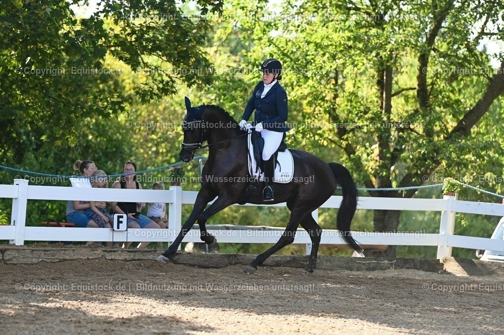 20230715_06_Dressurpferdeprfg. Kl.A_0181 | equistock