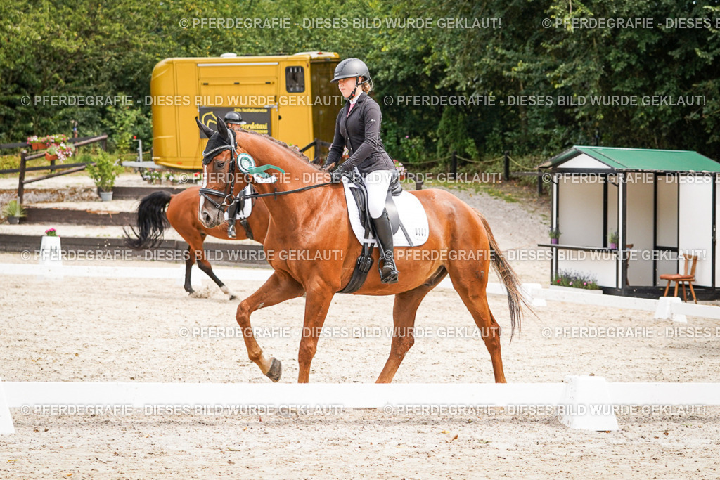 DSC04633 | Pferdegrafie