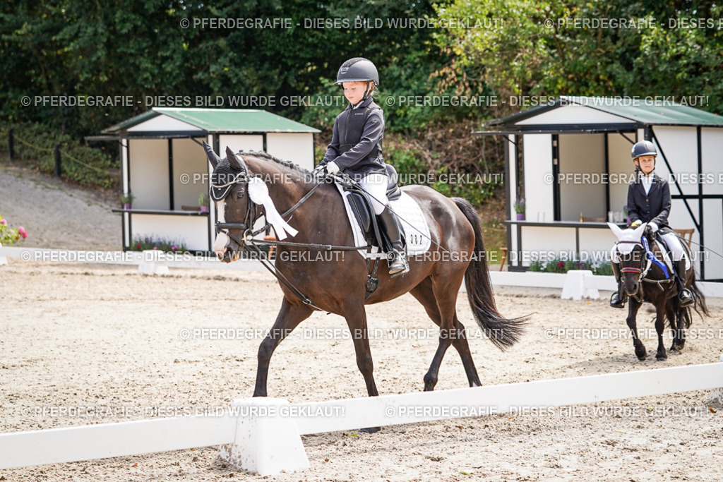 DSC02918 | Pferdegrafie