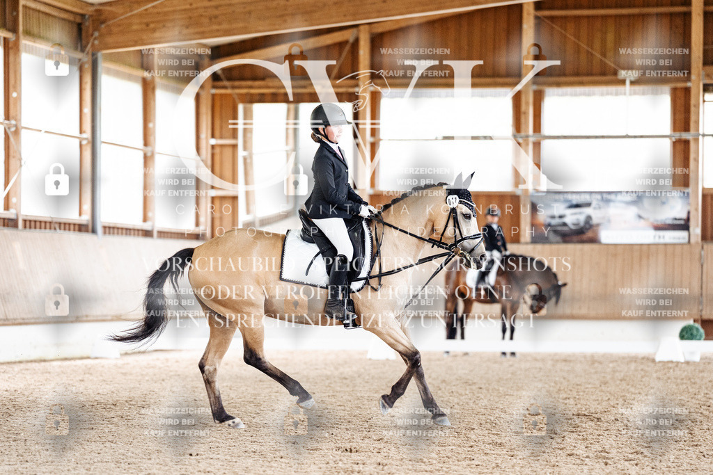 CK901536 | Turnierfotografie Pferdefotografie Trier Rheinland-Pfalz Pferdesport Reitsport Tierfotografie Sportfotografie Pferdevideo Pferdevideografie Equestrianvideography equestrianphotography  - Realisiert mit Pictrs.com