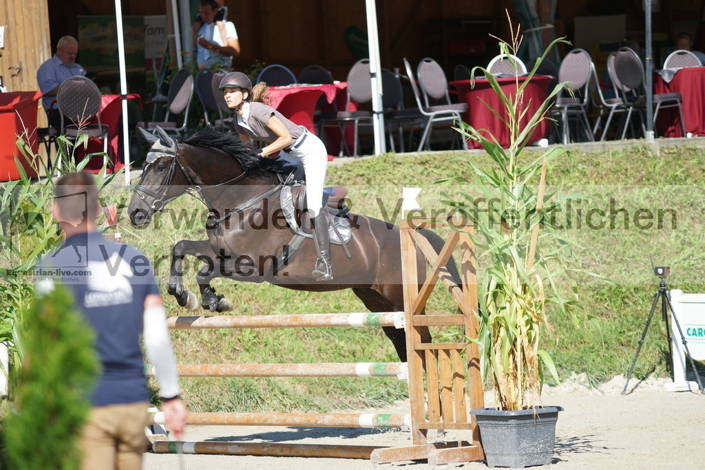 DSC02324 | equestrian-live-com