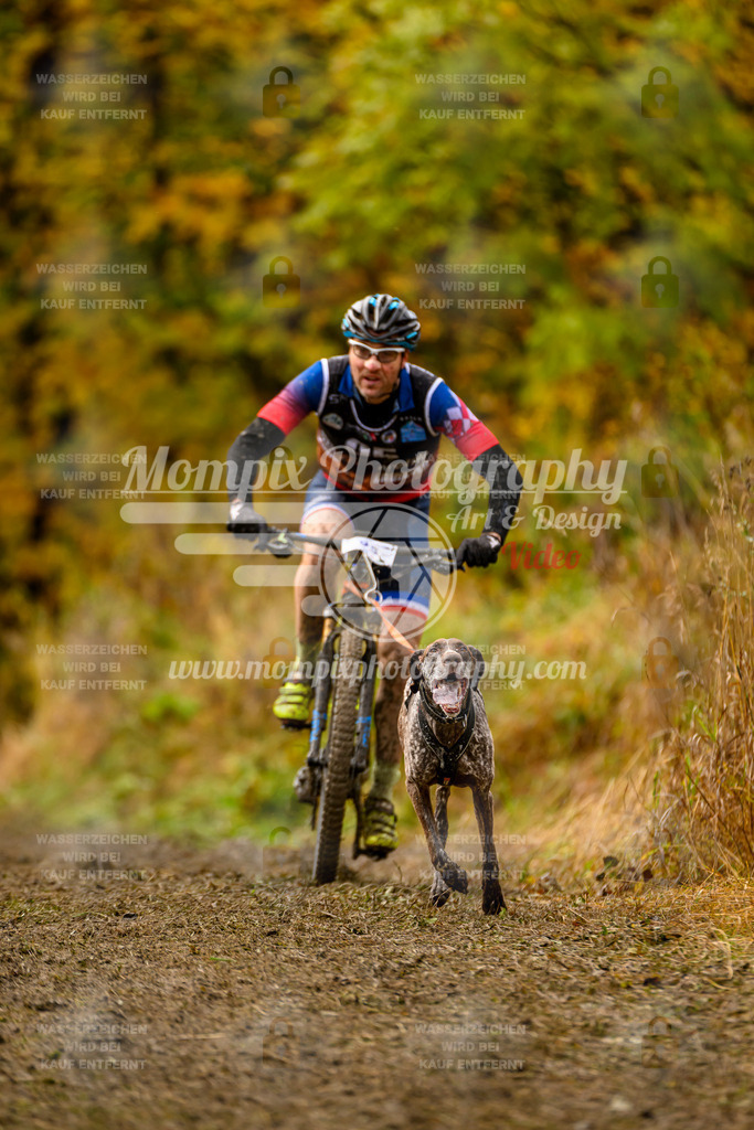 MompixPhotography_ICF_WC_2024_SA_Bike_-56 | PayLife