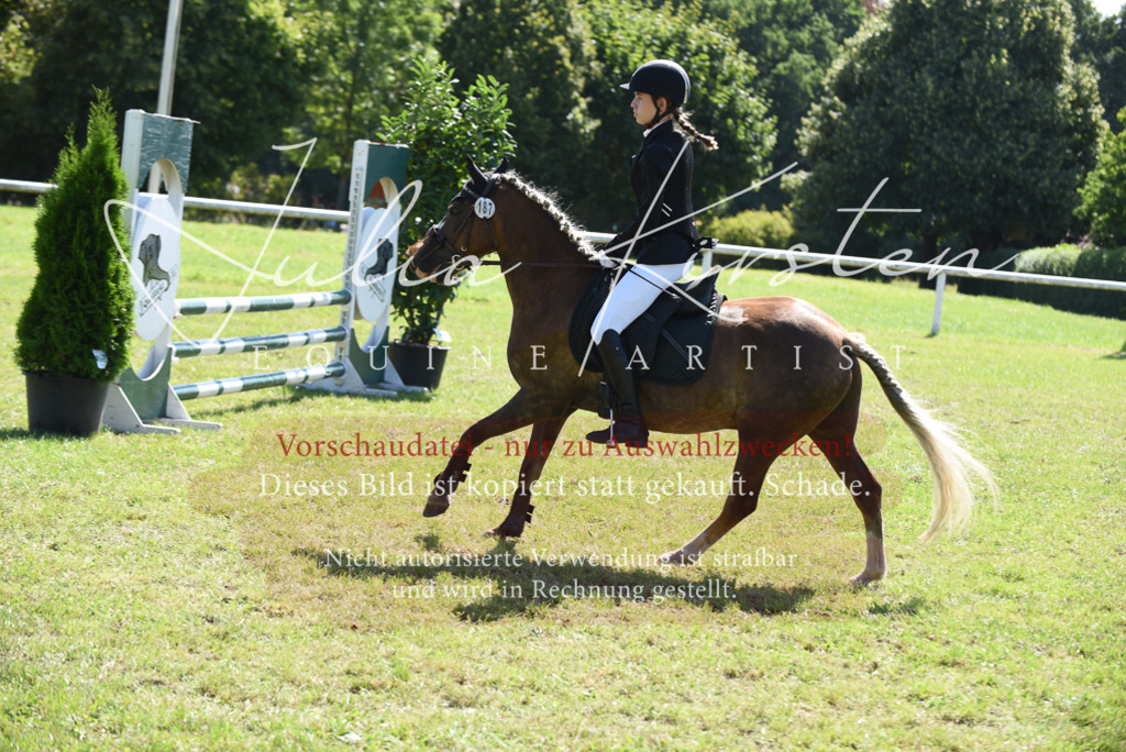 DSC_9459 | Pferde- und Turnierfotografie in Westsachsen. Pferdeportraits, Auftragszeichnungen und intuitive Kunst.