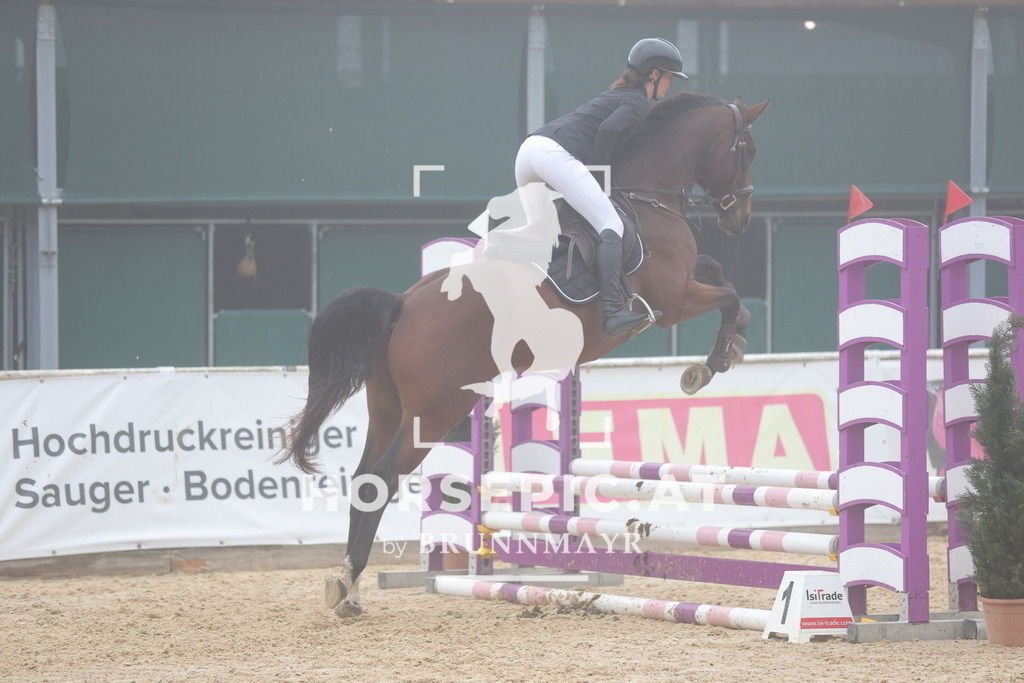 0P6A0479 | Willkommen bei Brunnmayr - Design & Fotografie – Ihrem Spezialisten für Reitturniere und Pferdeveranstaltungen in Oberösterreich, Salzburg und Bayern! Seit über 17 Jahren sind wir leidenschaftlich dabei.