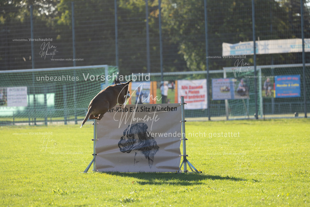 _16A4843 | Einzigartige Fotos von Hunden & Menschen –Actionfotos, Portraits, Vereinsaufnahmen & Paarshootings – authentisch, lebendig & mit Herz.